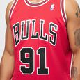 NBA Swingman Chicago Bulls Dennis Rodman scarlet